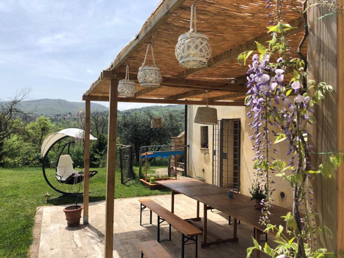 Terra Della Lanterna Bed & Breakfast Cetona Exterior foto