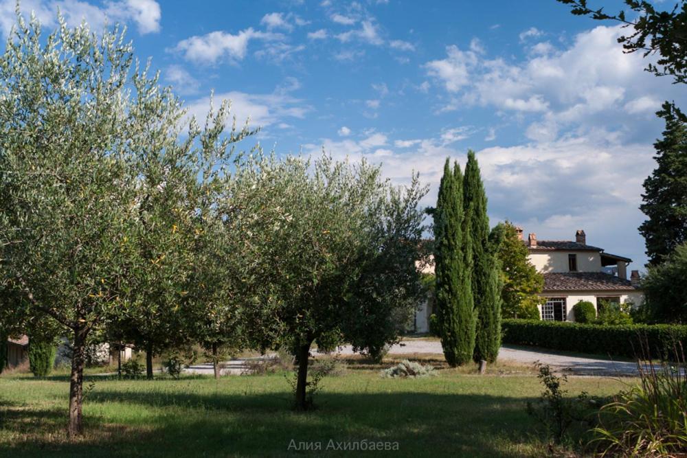 Terra Della Lanterna Bed & Breakfast Cetona Exterior foto